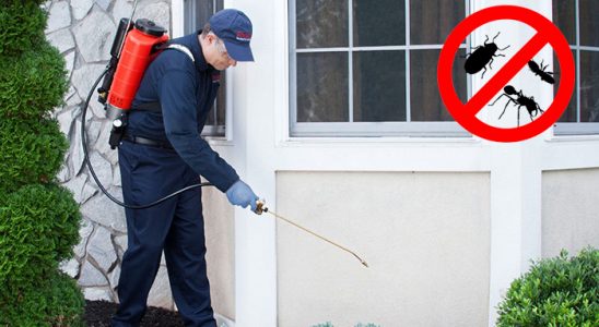 Refahiye Kene İlaçlama böcek ilaçlama ve haşere kontrolü — ilaclama-tr.com